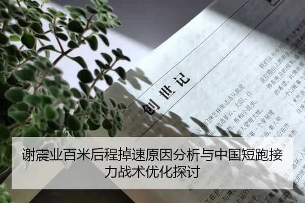 谢震业百米后程掉速原因分析与中国短跑接力战术优化探讨