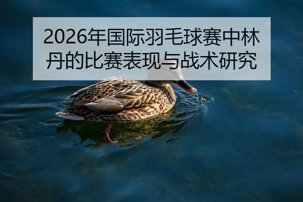 2026年国际羽毛球赛中林丹的比赛表现与战术研究