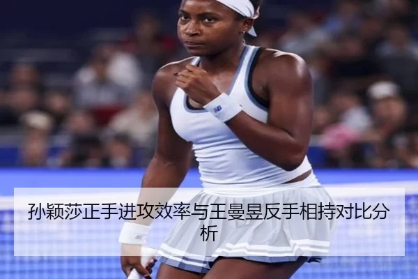 sun-ying-sha-zheng-shou-jin-gong-xiao-lv-yu-wang-man-yu-fan-shou-xiang-chi-dui-bi-fen-xi-2-149.jpg