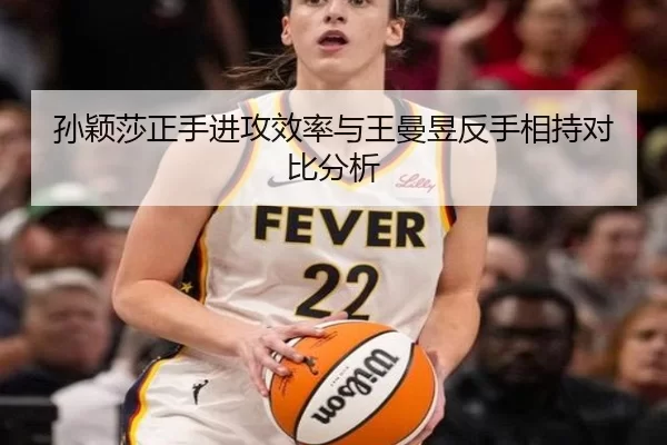 sun-ying-sha-zheng-shou-jin-gong-xiao-lv-yu-wang-man-yu-fan-shou-xiang-chi-dui-bi-fen-xi-3-137.jpg