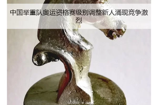 zhong-guo-ju-zhong-dui-ao-yun-zi-ge-sai-ji-bie-tiao-zheng-xin-ren-yong-xian-jing-zheng-ji-lie-2-455.jpg
