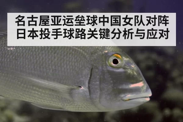 名古屋亚运垒球中国女队对阵日本投手球路关键分析与应对
